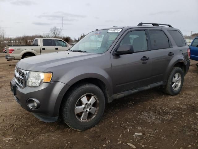 2011 Ford Escape XLT