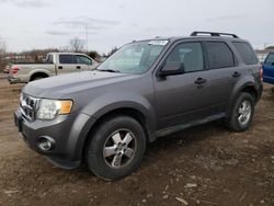 Salvage cars for sale from Copart Columbia Station, OH: 2011 Ford Escape XLT