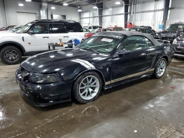 2002 Ford Mustang