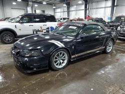 2002 Ford Mustang for sale in Ham Lake, MN