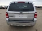 2009 Ford Escape XLS