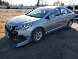 Hyundai Sonata salvage cars for sale: 2016 Hyundai Sonata SE