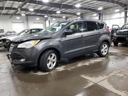 2016 Ford Escape SE for sale in Ham Lake, MN