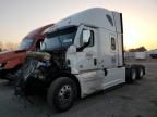 2020 Freightliner Cascadia 126