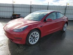 Salvage cars for sale from Copart Antelope, CA: 2023 Tesla Model 3