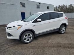 2014 Ford Escape SE for sale in Bowmanville, ON