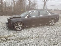 Salvage cars for sale from Copart Cicero, IN: 2010 Chevrolet Malibu 1LT