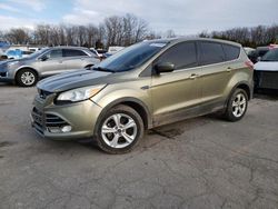 2013 Ford Escape SE for sale in Columbia, MO