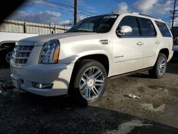 Cadillac Escalade salvage cars for sale: 2014 Cadillac Escalade Premium