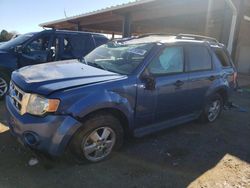 Salvage cars for sale from Copart Tanner, AL: 2010 Ford Escape XLT