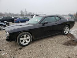 Dodge salvage cars for sale: 2014 Dodge Challenger SXT