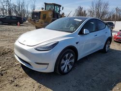 2021 Tesla Model Y en venta en Baltimore, MD