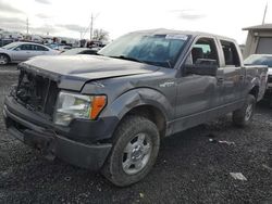 2013 Ford F150 Supercrew en venta en Eugene, OR