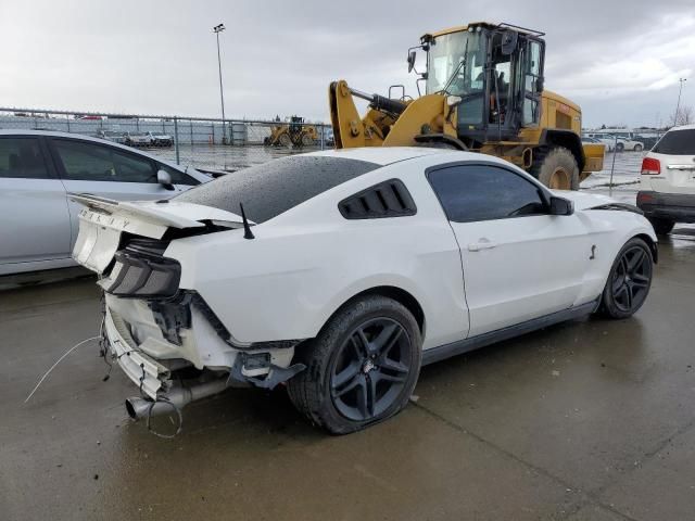 2010 Ford Mustang Shelby GT500