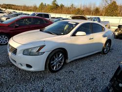 Nissan salvage cars for sale: 2011 Nissan Maxima S