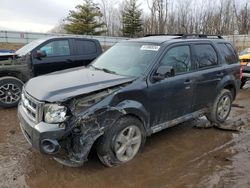 Salvage cars for sale from Copart Davison, MI: 2009 Ford Escape XLT