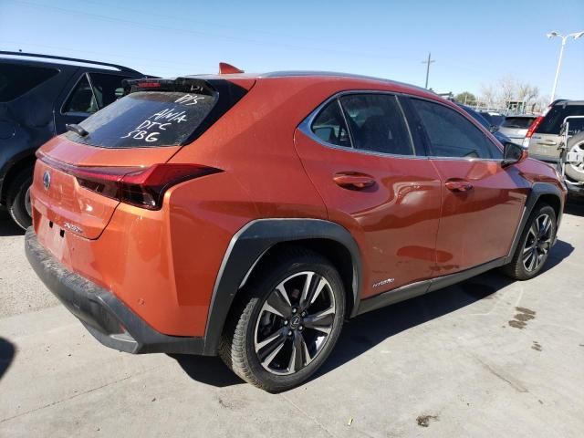 2020 Lexus UX 250H