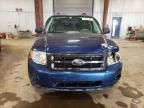 2008 Ford Escape XLS