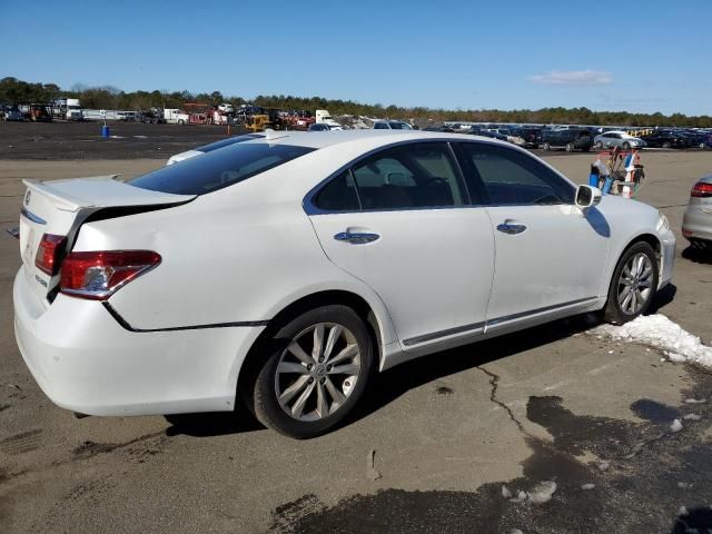 2010 Lexus ES 350