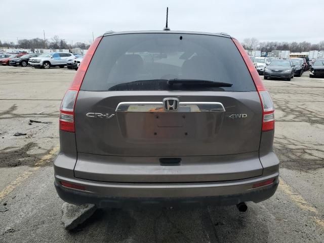 2010 Honda CR-V EXL