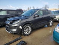 2020 Ford Escape SE for sale in Bridgeton, MO
