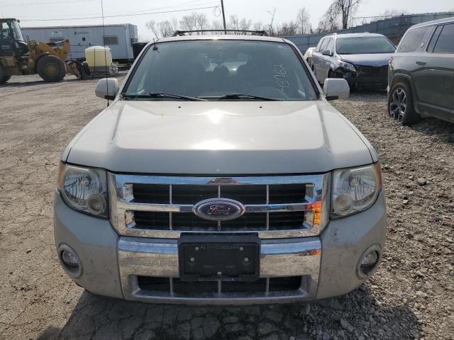 2008 Ford Escape Limited