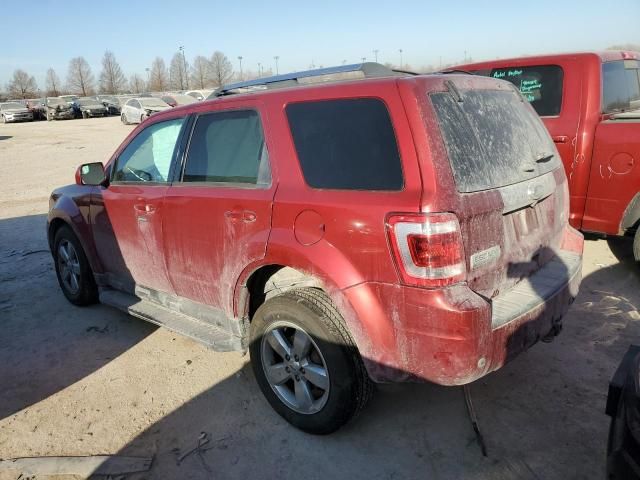 2012 Ford Escape Limited