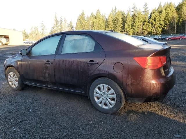 2010 KIA Forte EX