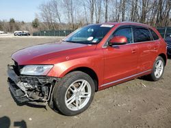 2013 Audi Q5 Premium Plus for sale in Candia, NH