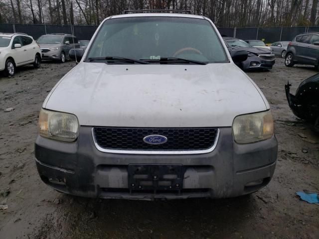 2001 Ford Escape XLT