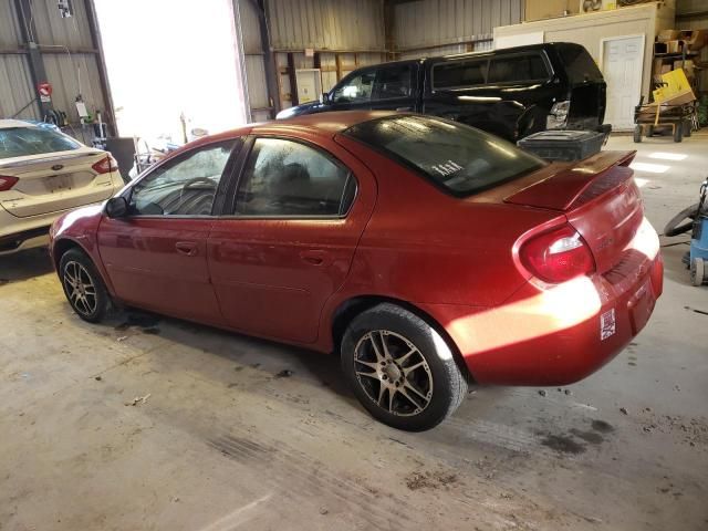 2005 Dodge Neon SXT