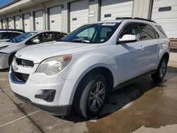 Chevrolet salvage cars for sale: 2010 Chevrolet Equinox LT