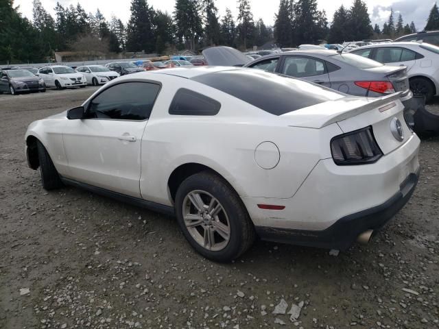 2010 Ford Mustang