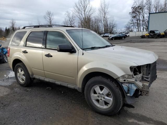 2010 Ford Escape XLS