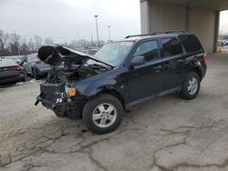 2012 Ford Escape XLT en venta en Fort Wayne, IN