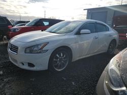 2014 Nissan Maxima S for sale in Eugene, OR