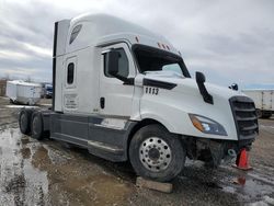 Freightliner salvage cars for sale: 2020 Freightliner Cascadia 126