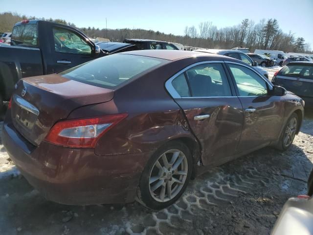 2009 Nissan Maxima S