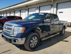 2014 Ford F150 Supercrew for sale in Louisville, KY