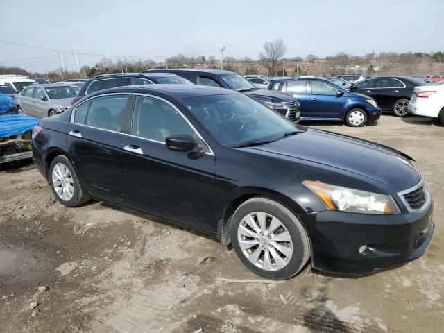 2010 Honda Accord EXL