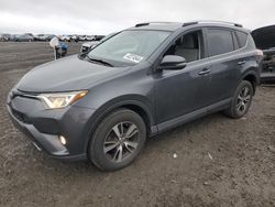 Toyota rav4 salvage cars for sale: 2016 Toyota Rav4 XLE