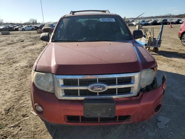 2010 Ford Escape XLT