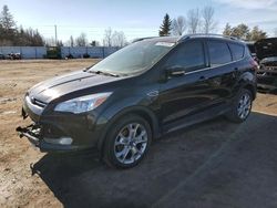 Salvage cars for sale from Copart Bowmanville, ON: 2014 Ford Escape Titanium