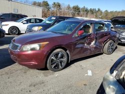 Honda Accord salvage cars for sale: 2008 Honda Accord EX