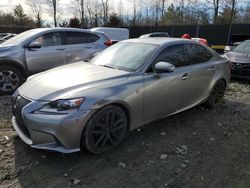 2015 Lexus IS 250 for sale in Waldorf, MD