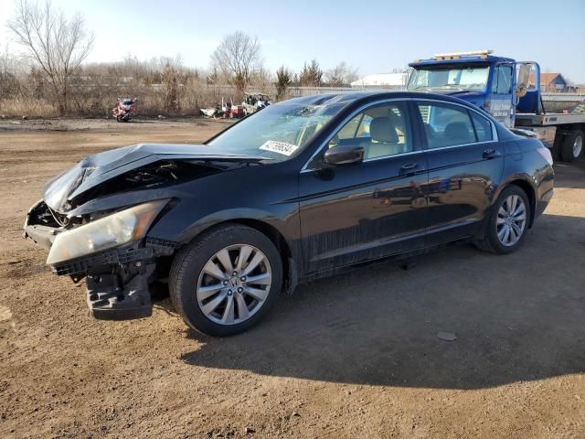 2011 Honda Accord EXL