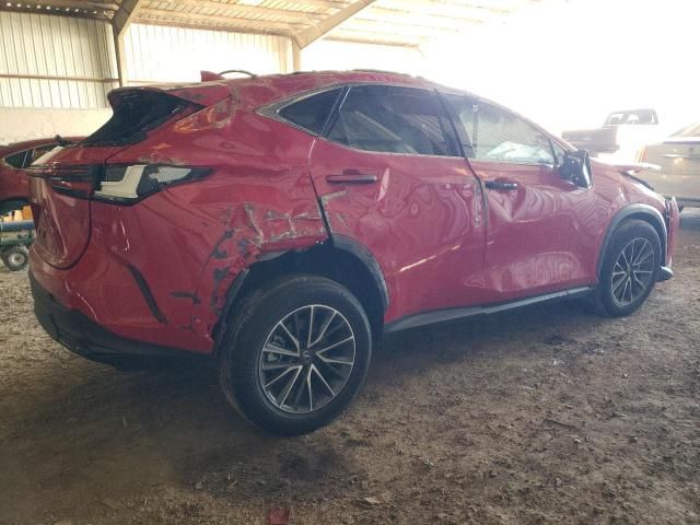 2024 Lexus NX 350H Base