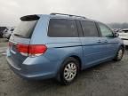 2008 Honda Odyssey EXL