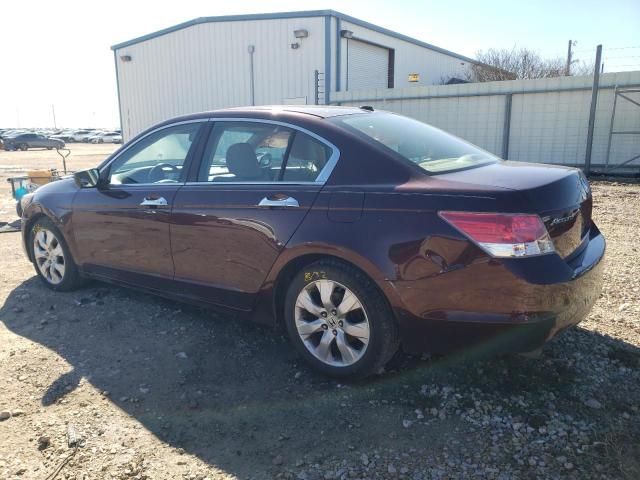 2010 Honda Accord EXL