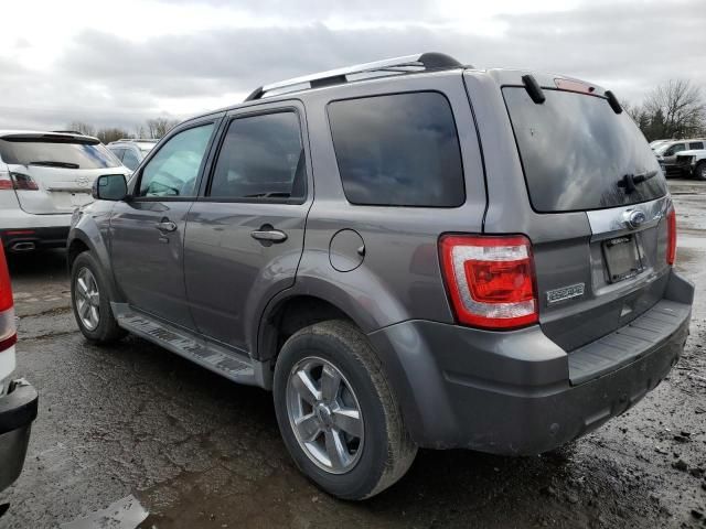 2010 Ford Escape Limited